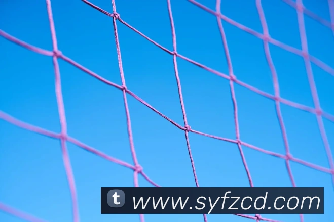 世界杯免费网站全站App 世界杯免费网站全站App